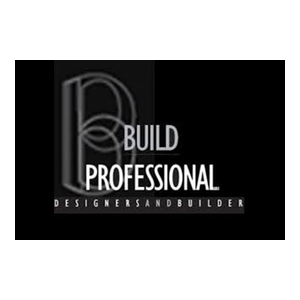Build Professional logo